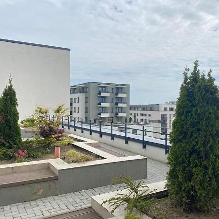 Astoria Apartment - Pet Friendly Brassó Kültér fotó