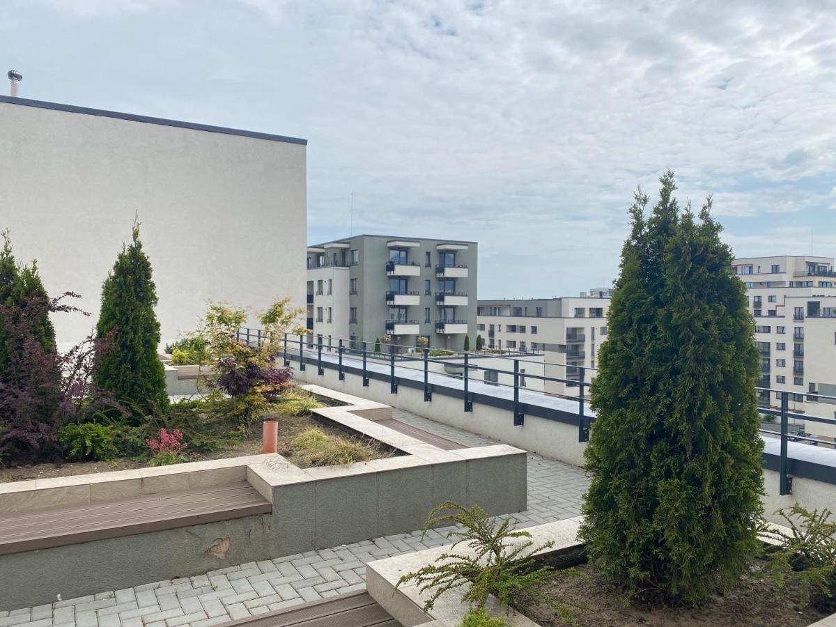 Astoria Apartment - Pet Friendly Brassó Kültér fotó