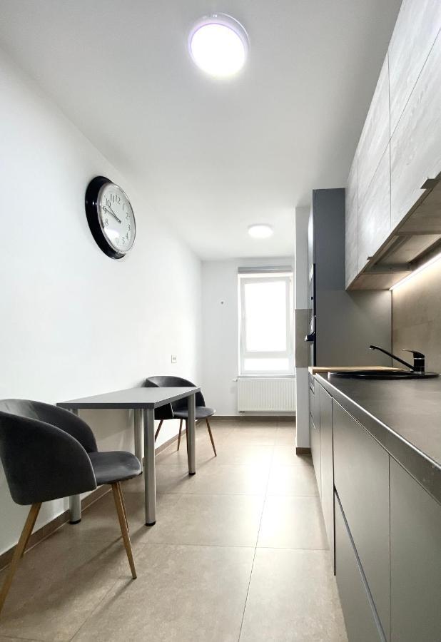 Astoria Apartment - Pet Friendly Brassó Kültér fotó